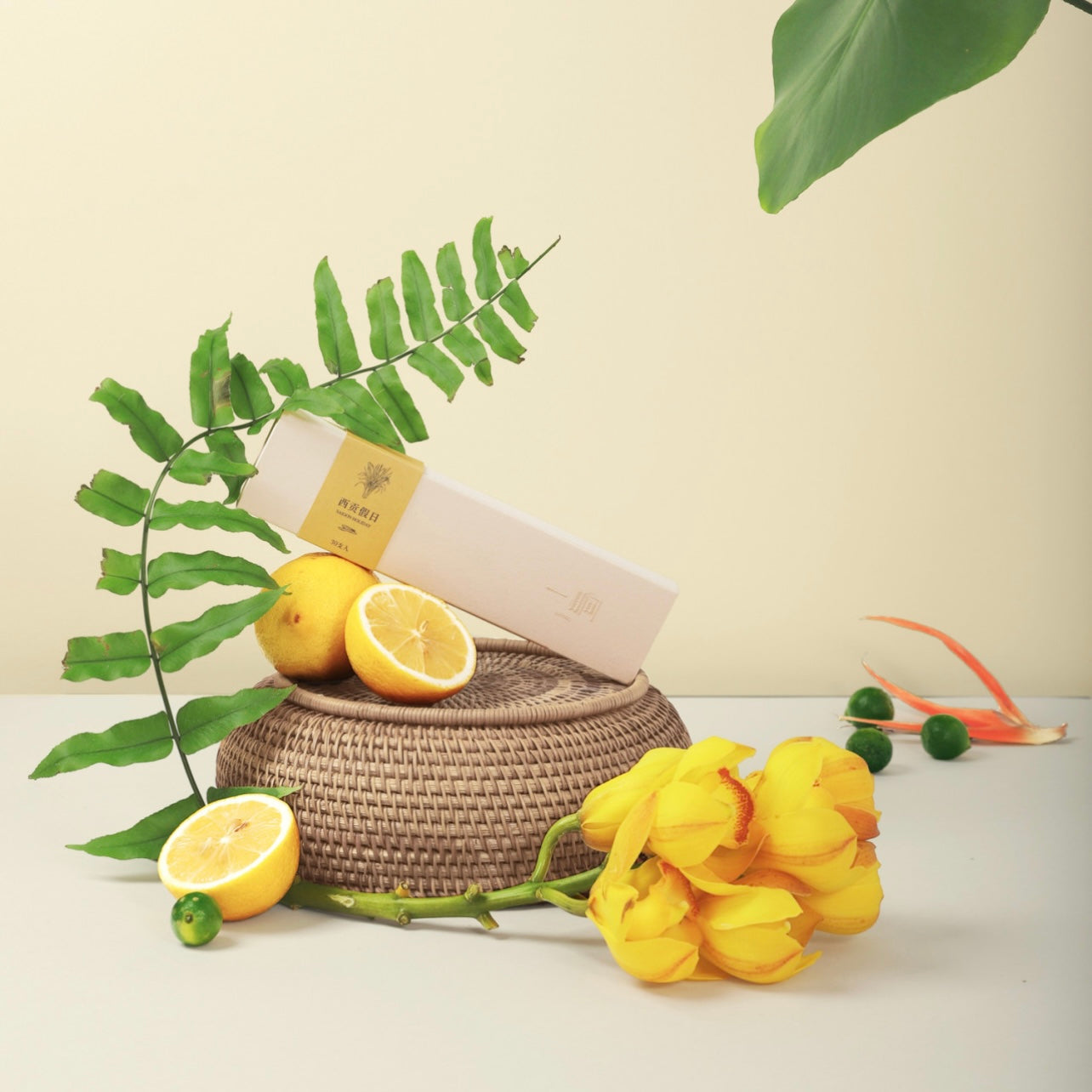 SHANG|Smokeless Incense Series