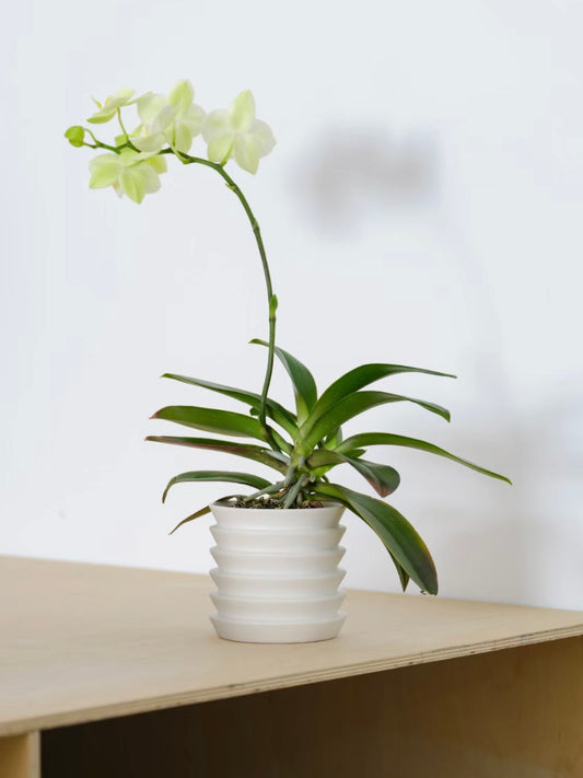 OPEN OBJECT | 叠 Dié Vase NO.8