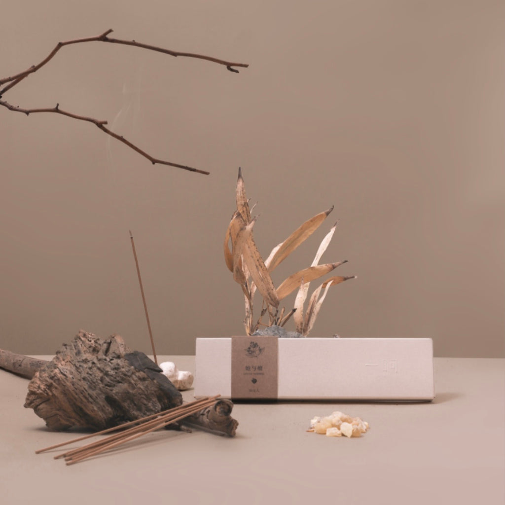 SHANG｜Smokeless Incense Series