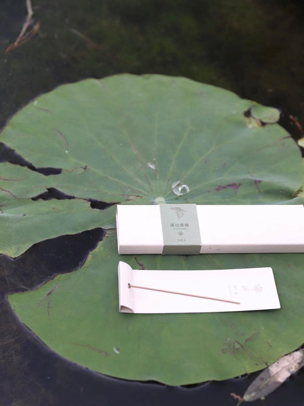 SHANG｜Smokeless Incense Series