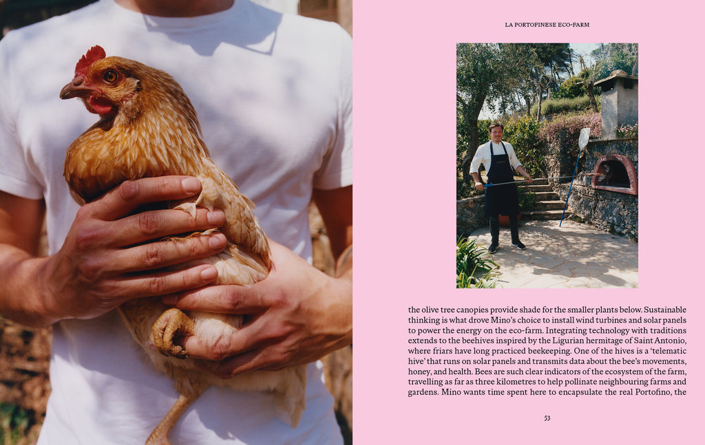 Liguria: Recipes & Wanderings Along the Italian Riviera