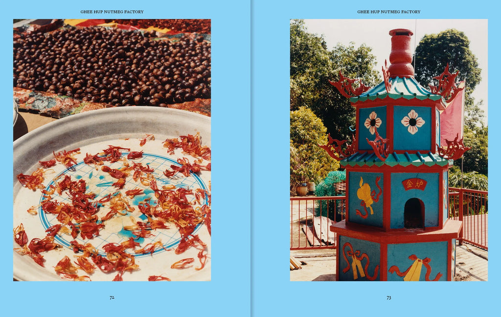 Penang: Recipes & Wanderings Around an Island in Malaysia