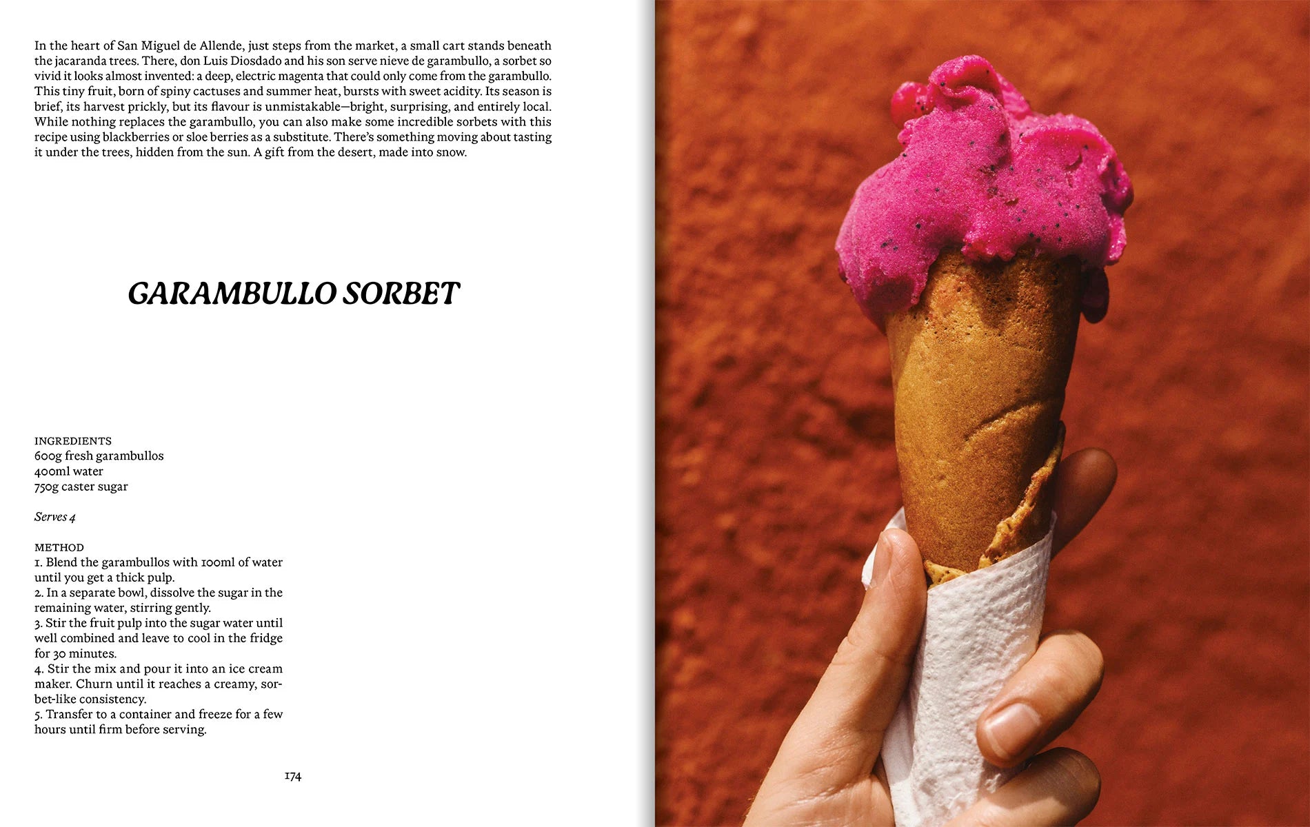 El Bajío: Recipes & Wanderings Through Mexico’s Heartland