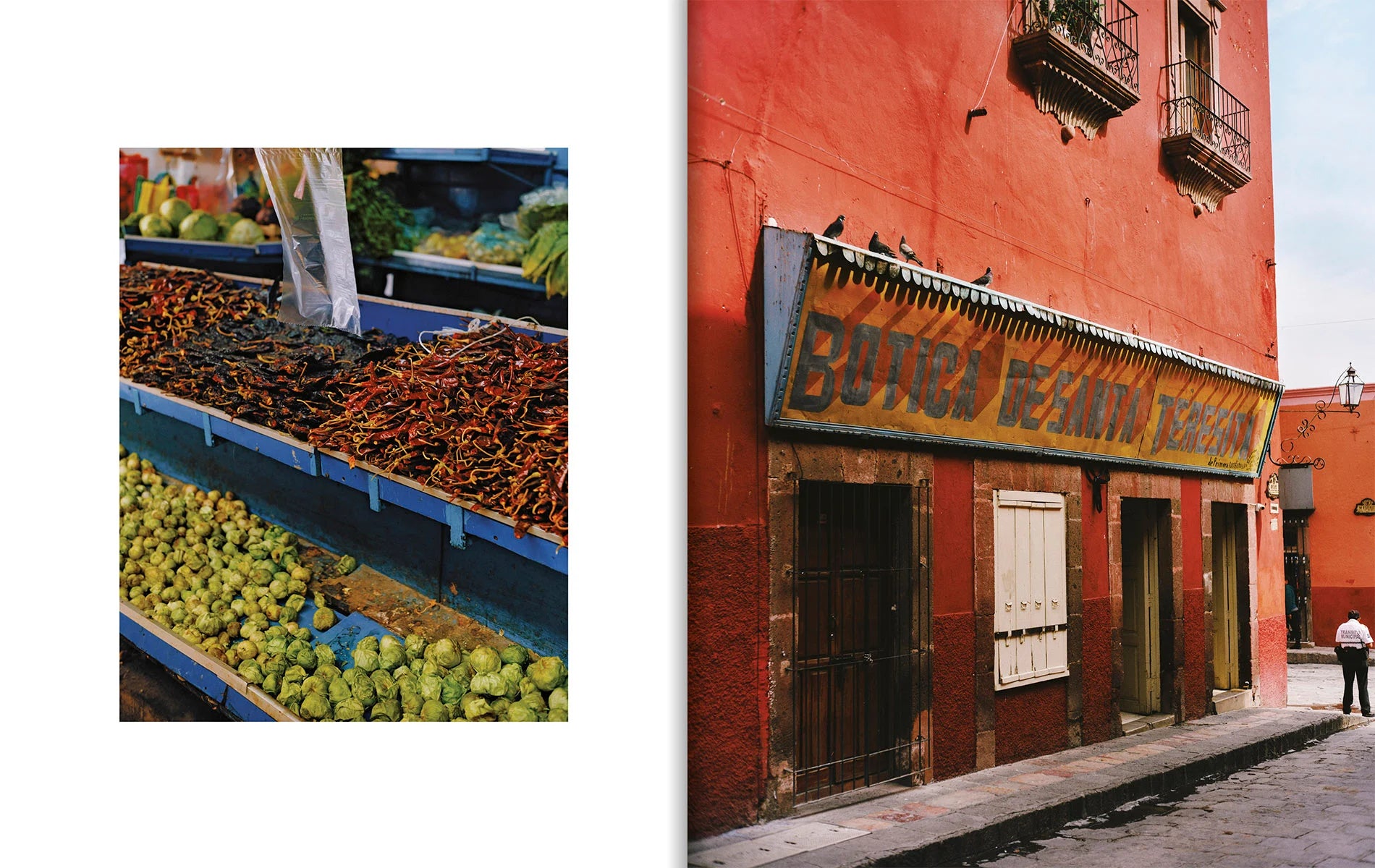El Bajío: Recipes & Wanderings Through Mexico’s Heartland