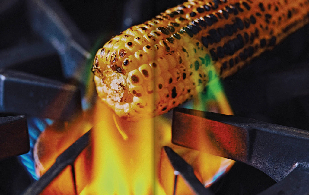 El Bajío: Recipes & Wanderings Through Mexico’s Heartland