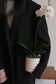 CNY Special Orchid with Planter