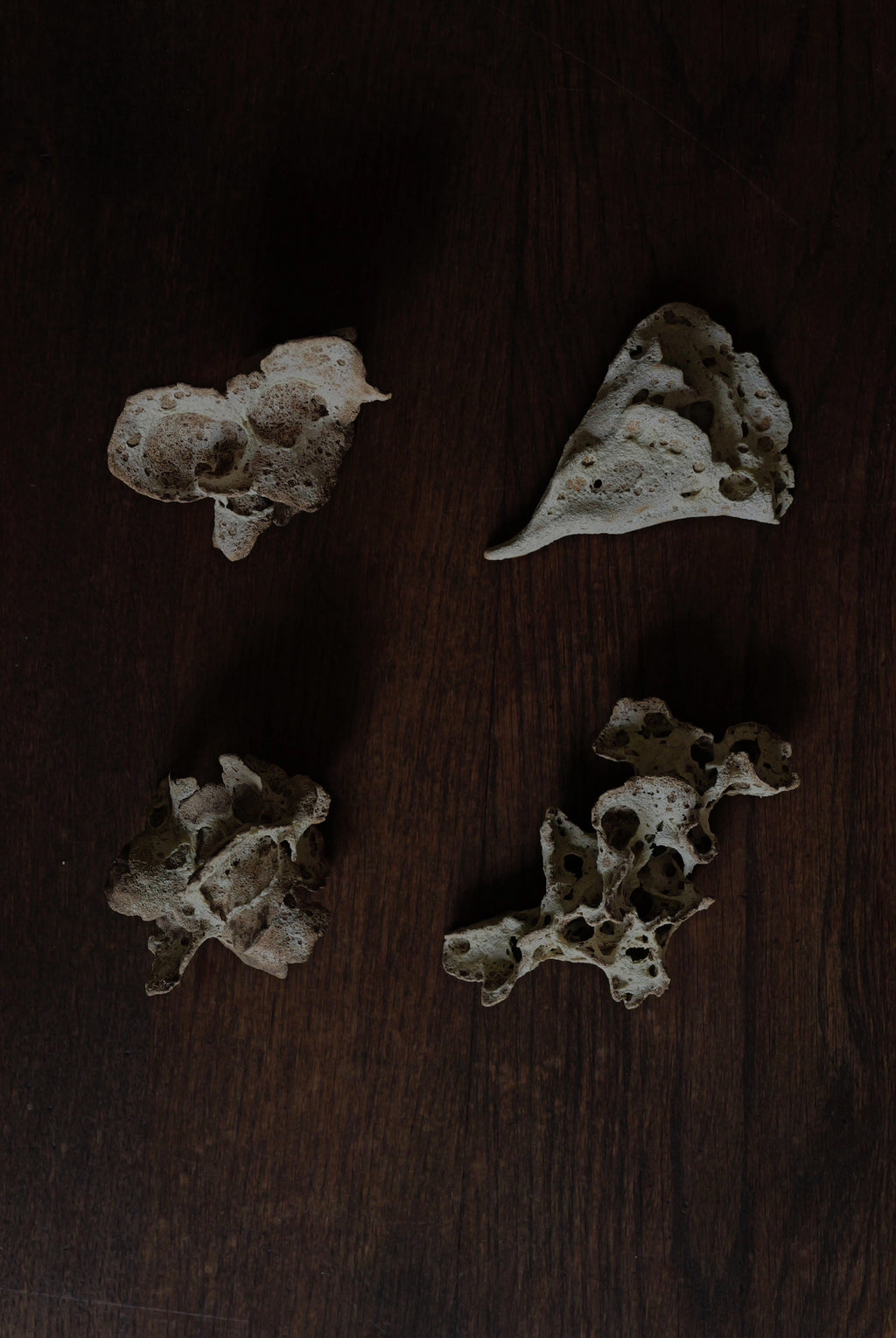Chunping | Mushroom