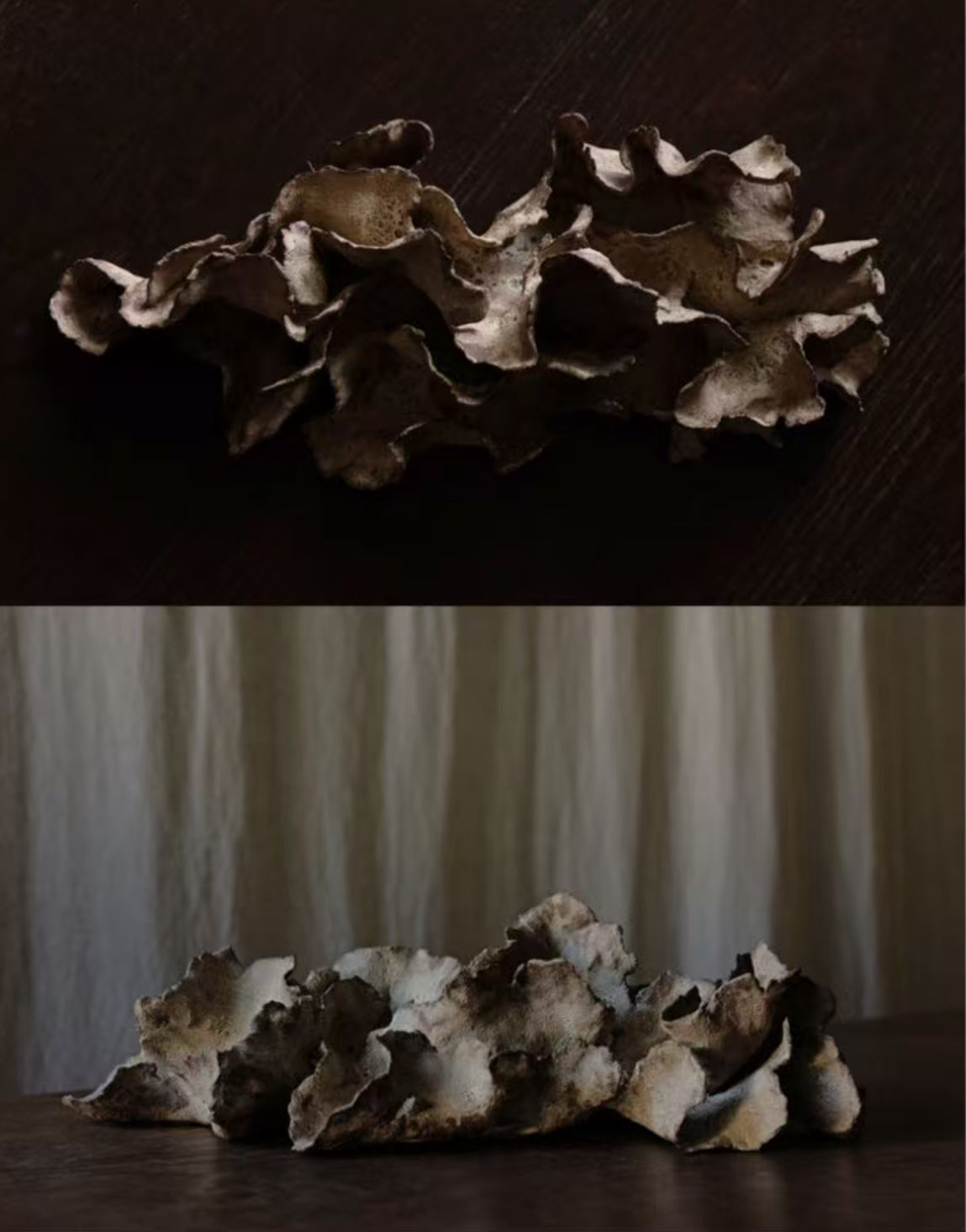 Chunping | earth as mat collection