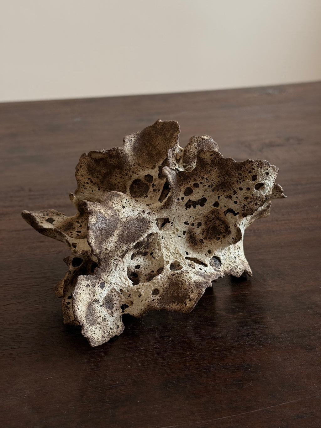 Chunping | Mushroom