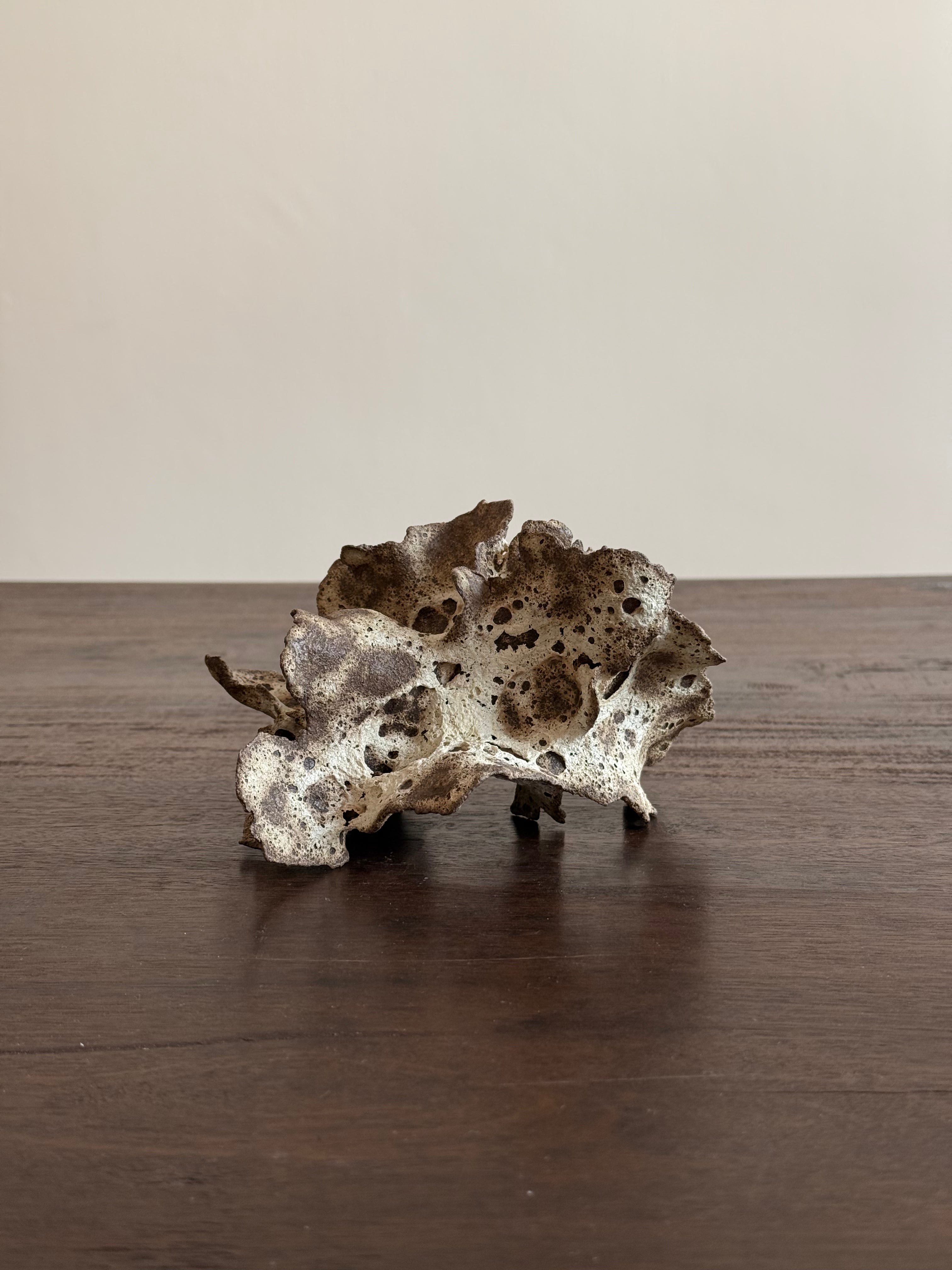 Chunping | Mushroom