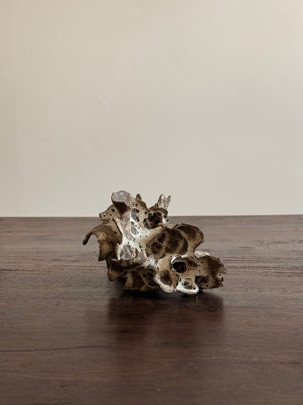 Chunping | Mushroom