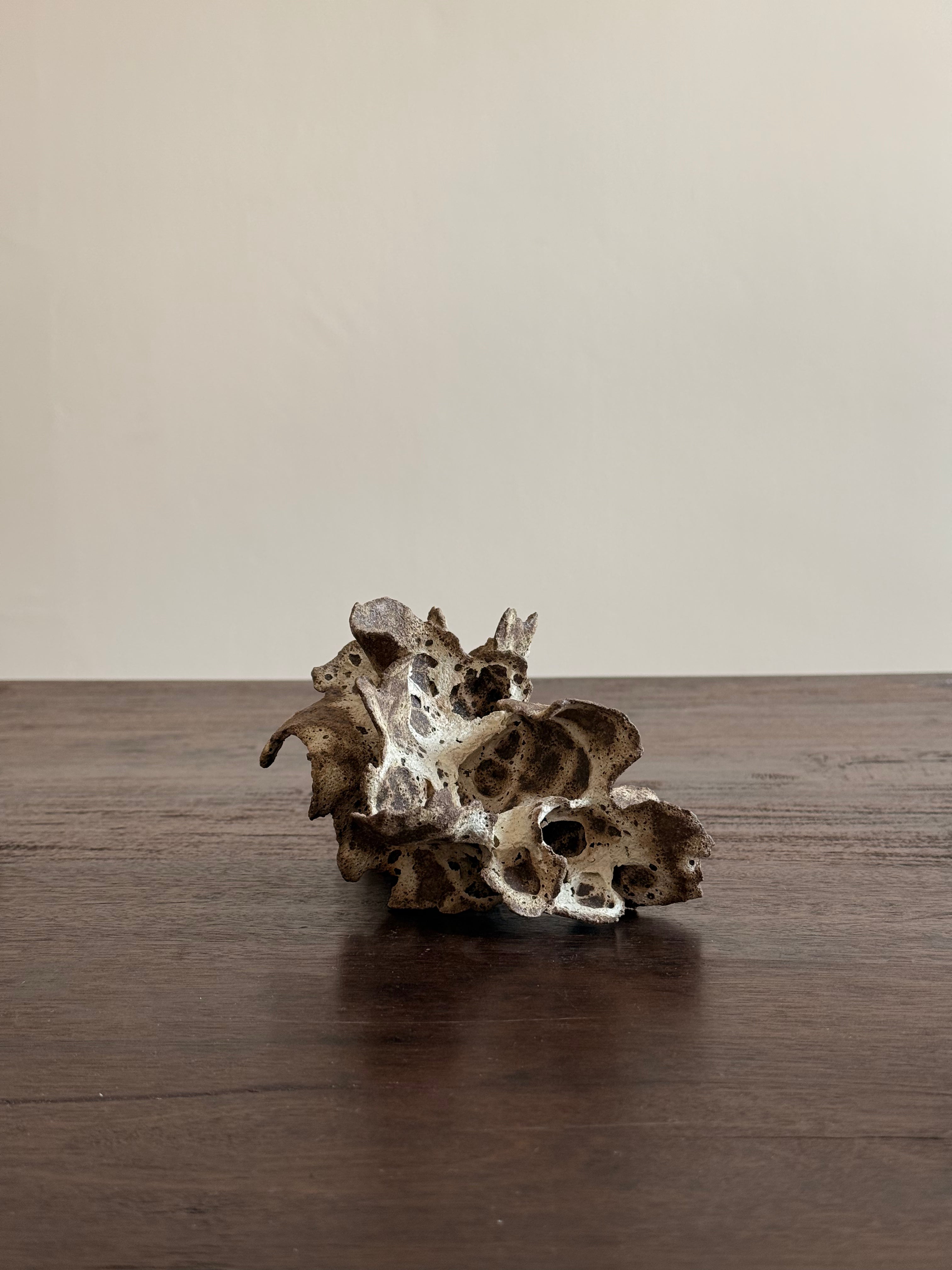 Chunping | Mushroom