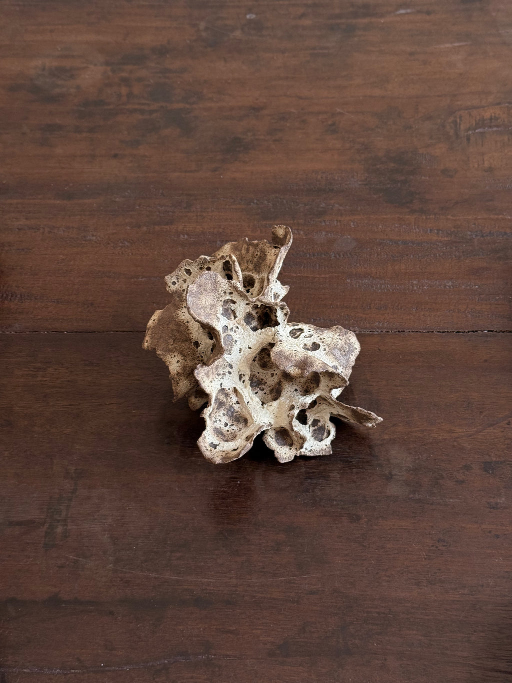 Chunping | Mushroom