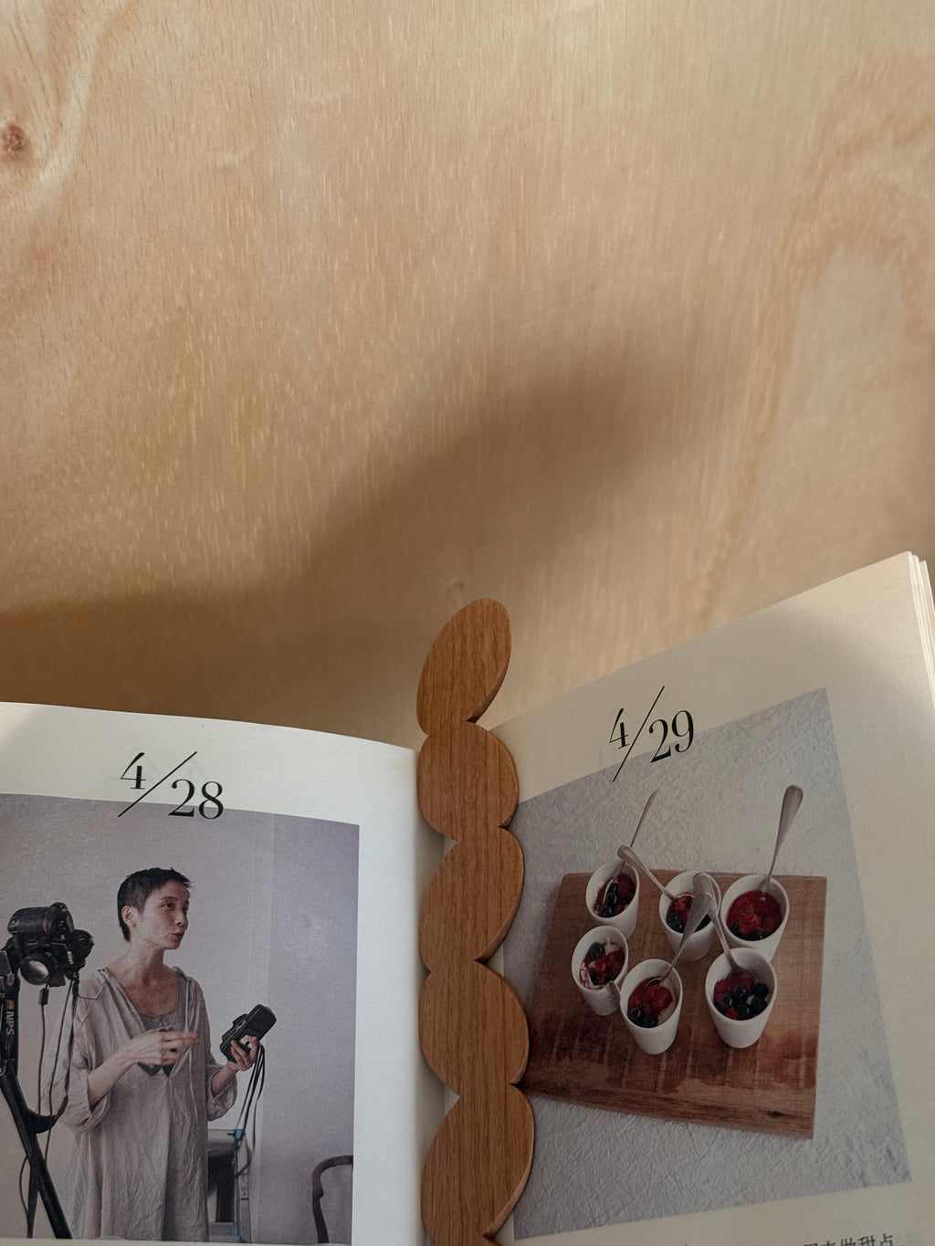 Frond | Wooden Bookmark