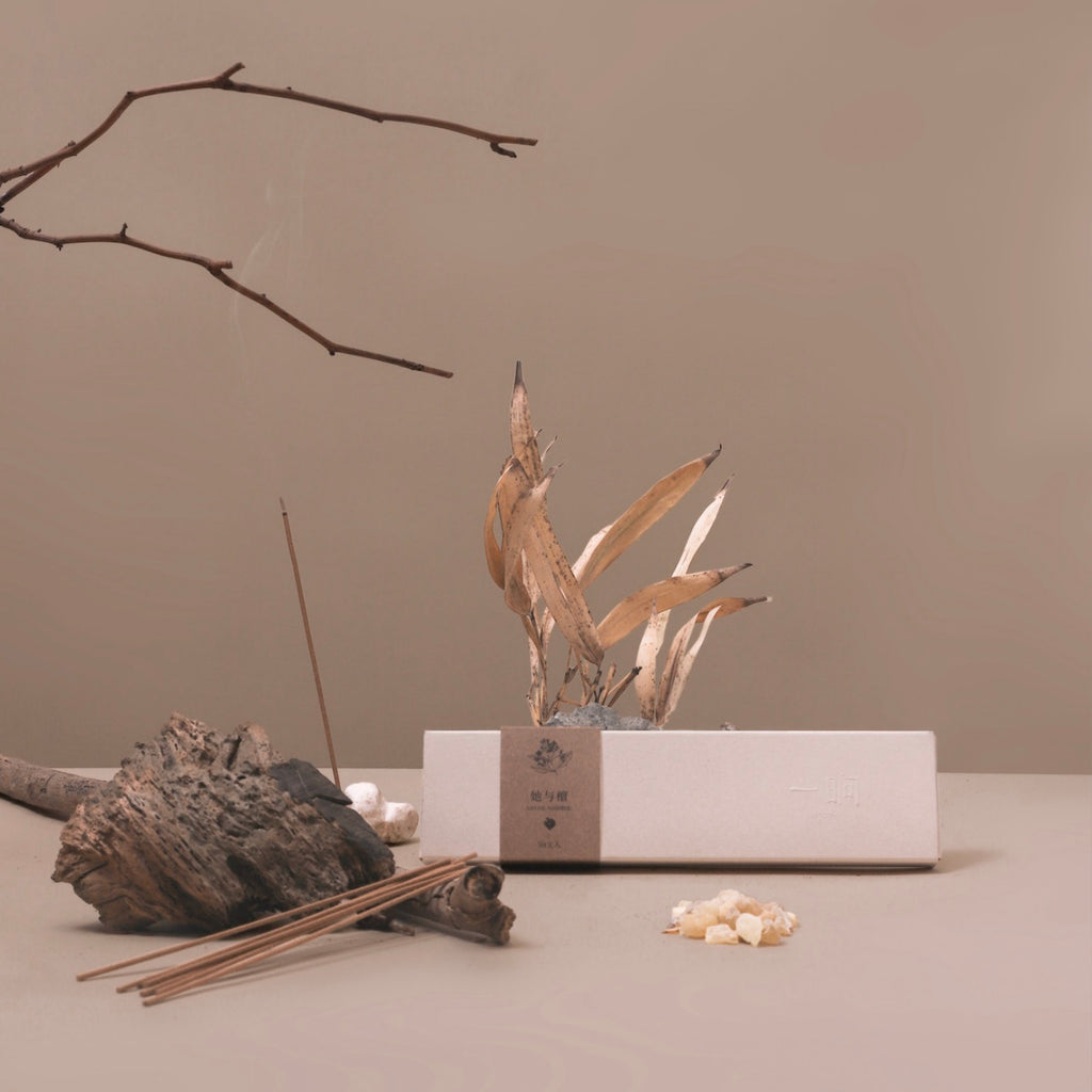 SHANG｜Smokeless Incense Series