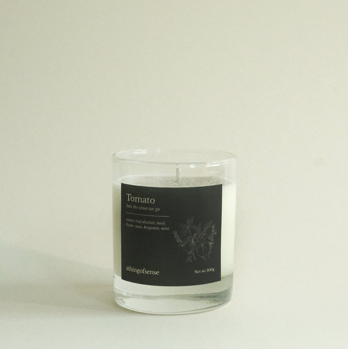 A Thing of Sense | Big Boy Jars