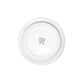 Carron | Marie-Antoinette knot plate