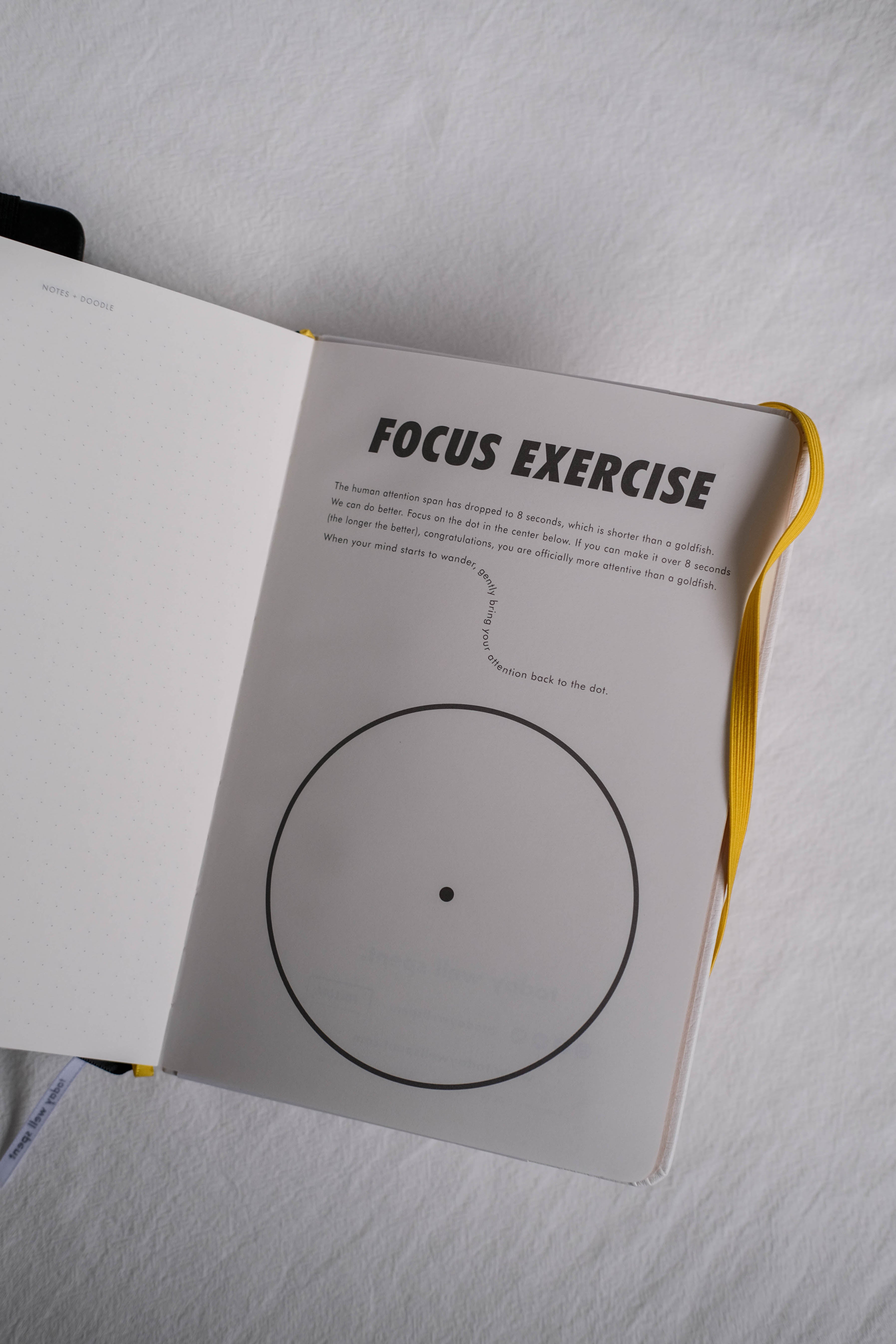 Today Well Spent | 90-day Attention Journal